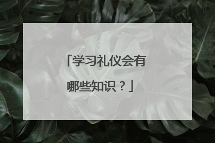 学习礼仪会有哪些知识?