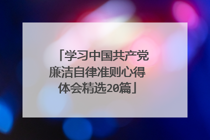 学习中国共产党廉洁自律准则心得体会精选20篇