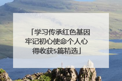 学习传承红色基因牢记初心使命个人心得收获5篇精选