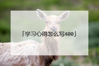 学习心得怎么写400