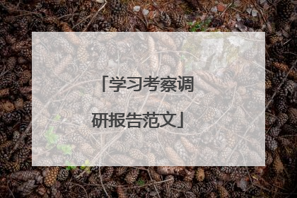 学习考察调研报告范文