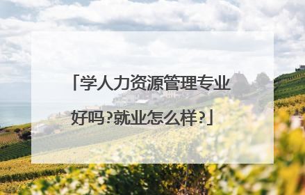 学人力资源管理专业好吗?就业怎么样?