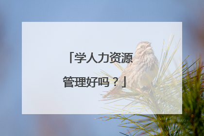 学人力资源管理好吗?