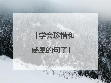 学会珍惜和感恩的句子