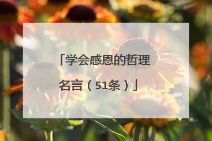 学会感恩的哲理名言(51条)