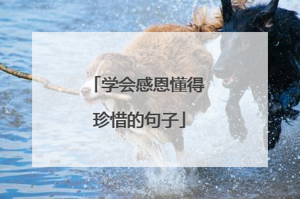 学会感恩懂得珍惜的句子
