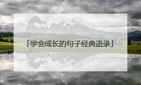 学会成长的句子经典语录