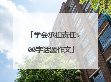 学会承担责任500字话题作文