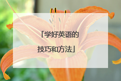 学好英语的技巧和方法