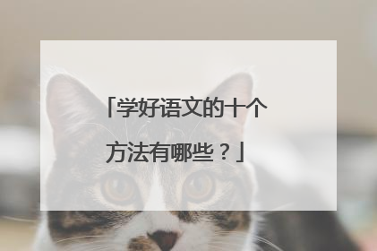 学好语文的十个方法有哪些?
