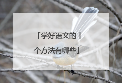学好语文的十个方法有哪些