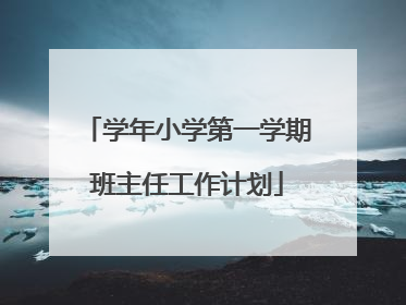学年小学第一学期班主任工作计划
