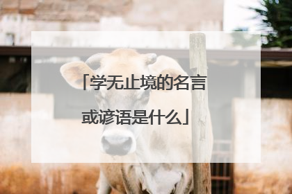 学无止境的名言或谚语是什么