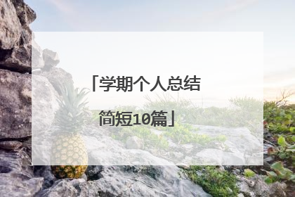 学期个人总结简短10篇