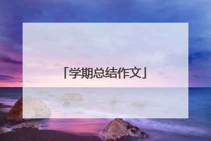 学期总结作文