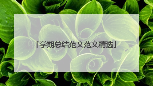 学期总结范文范文精选