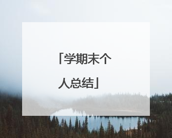 学期末个人总结