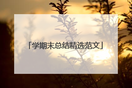 学期末总结精选范文
