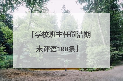 学校班主任简洁期末评语100条