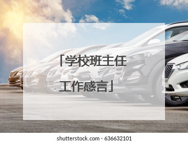 学校班主任工作感言