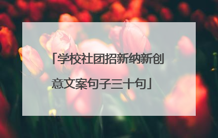 学校社团招新纳新创意文案句子三十句