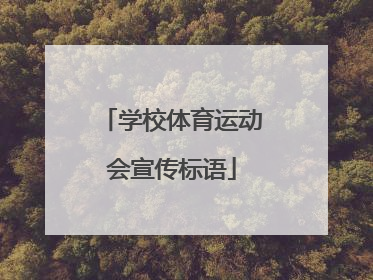 学校体育运动会宣传标语