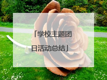 学校主题团日活动总结