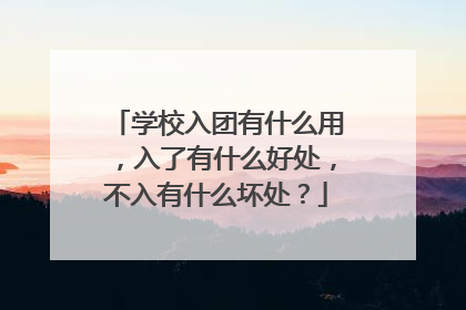 学校入团有什么用，入了有什么好处，不入有什么坏处？