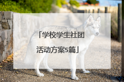 学校学生社团活动方案5篇