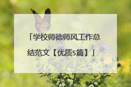 学校师德师风工作总结范文【优质5篇】