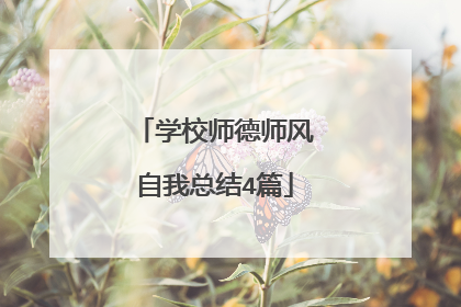 学校师德师风自我总结4篇