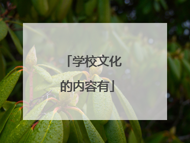 学校文化的内容有