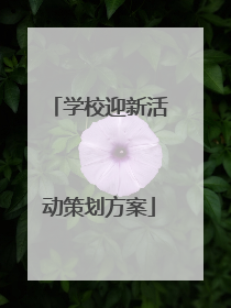 学校迎新活动策划方案