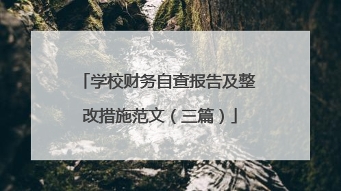 学校财务自查报告及整改措施范文（三篇）