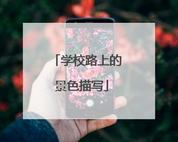 学校路上的景色描写