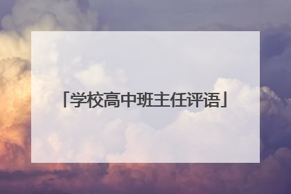 学校高中班主任评语