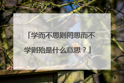 学而不思则罔思而不学则殆是什么意思？