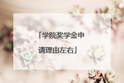 学院奖学金申请理由左右