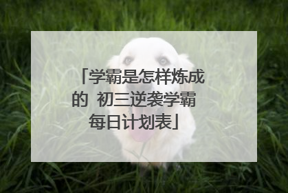 学霸是怎样炼成的 初三逆袭学霸每日计划表