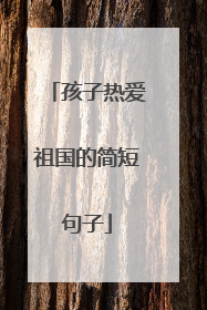 孩子热爱祖国的简短句子
