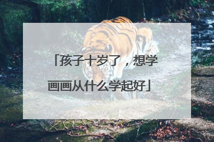孩子十岁了，想学画画从什么学起好