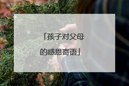 孩子对父母的感恩寄语