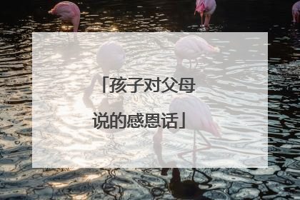孩子对父母说的感恩话