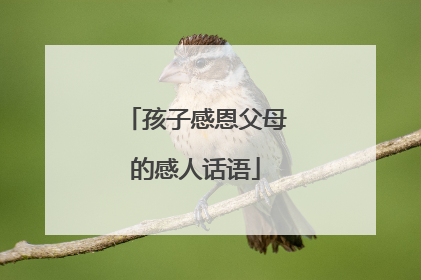 孩子感恩父母的感人话语