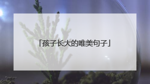 孩子长大的唯美句子