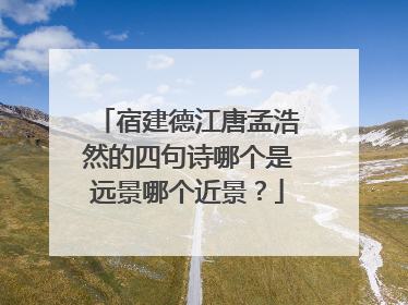 宿建德江唐孟浩然的四句诗哪个是远景哪个近景？