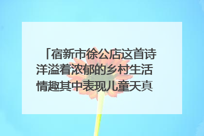 宿新市徐公店这首诗洋溢着浓郁的乡村生活情趣其中表现儿童天真活泼的诗句是哪？