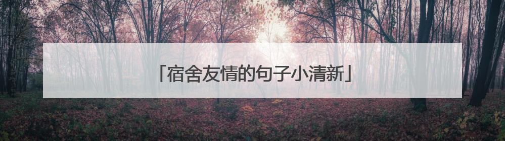 宿舍友情的句子小清新