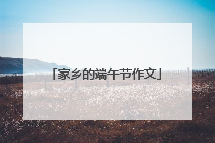 家乡的端午节作文