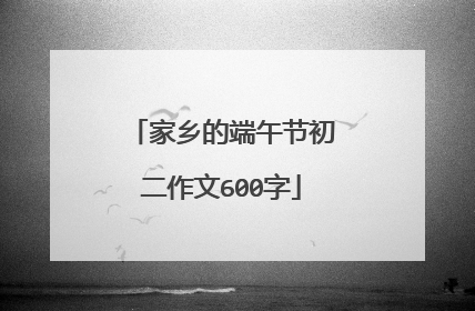 家乡的端午节初二作文600字